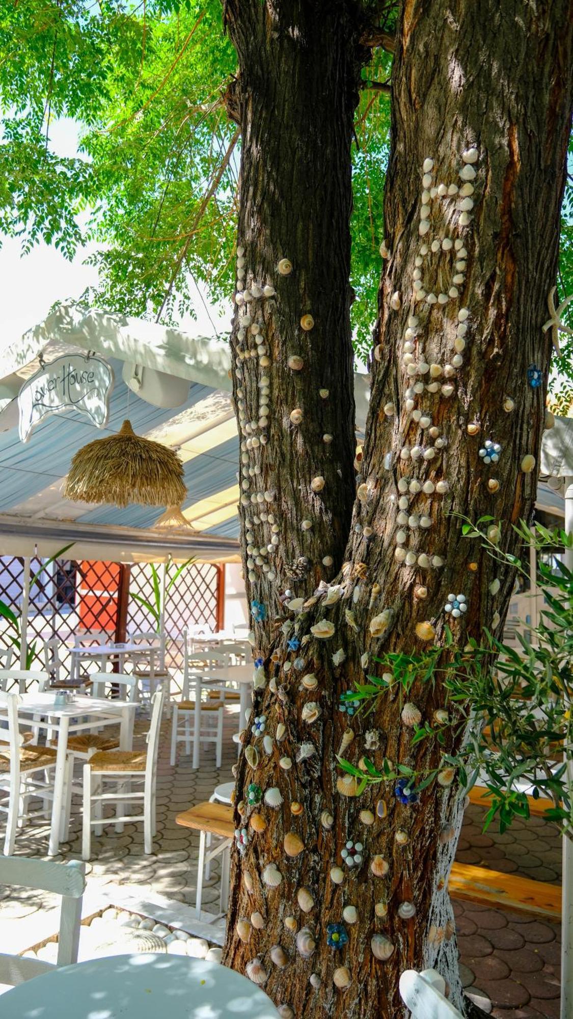 Cocoon Hotel-Beach Bar Sarti Exterior photo